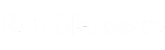 bga footer logo