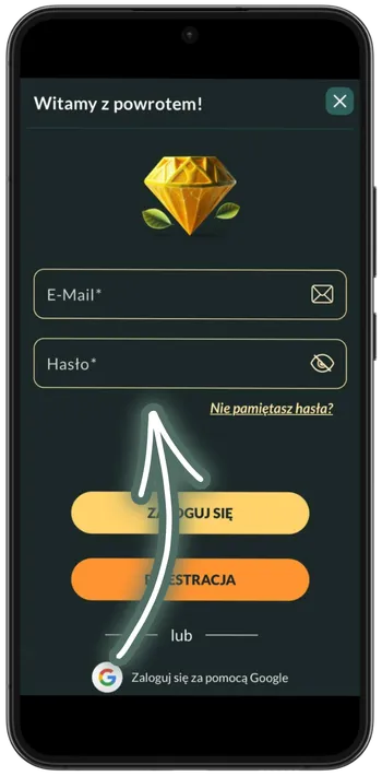Lemon casino Wpisanie danych użytkownika